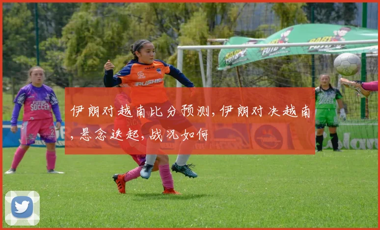 伊朗对越南比分预测,伊朗对决越南,悬念迭起,战况如何